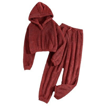 Women's Autumn And Winter Home Leisure Two-piece Set New Furry Hooded Top