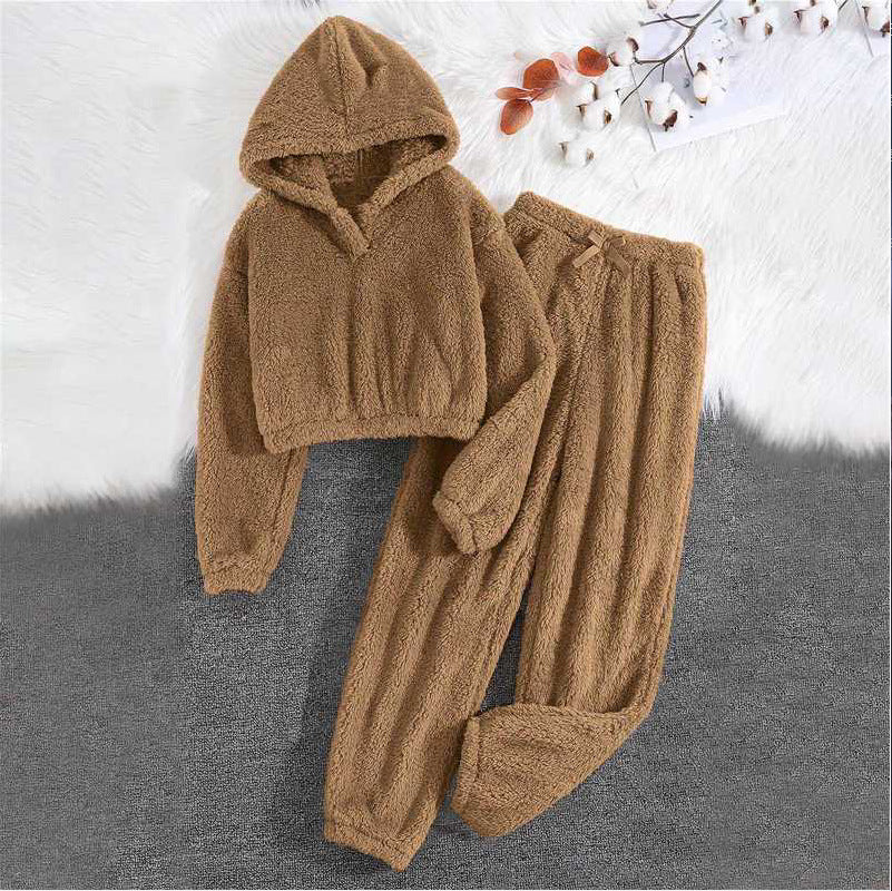 Women's Autumn And Winter Home Leisure Two-piece Set New Furry Hooded Top