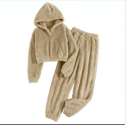 Women's Autumn And Winter Home Leisure Two-piece Set New Furry Hooded Top